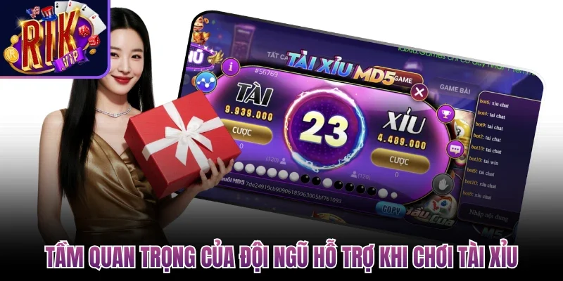 Hỗ Trợ Tài Xỉu Online Nhanh Chóng, An Toàn, Hiệu Quả 2 Tầm quan trọng của đội ngũ hỗ trợ khi chơi tài xỉu